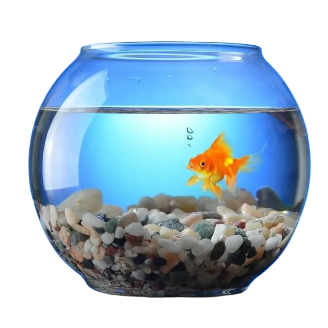 Aquarium